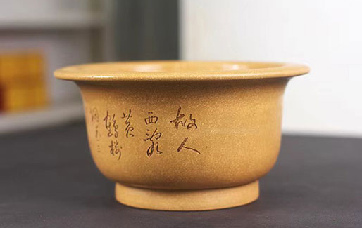 小圆盆（黄龙山本绿）(图3)