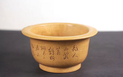 小圆盆（黄龙山本绿）(图4)