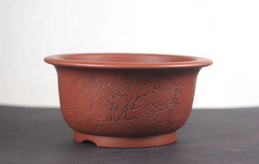 圆盆（黄龙山红皮龙）(图1)