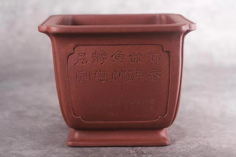 奎面抽角四方(黄龙山红皮龙)(图1) 奎面抽角四方(黄龙山红皮龙)(图1)