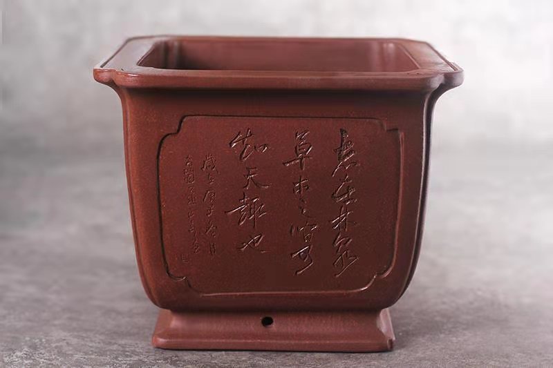 奎面抽角四方(黄龙山红皮龙)(图2) 奎面抽角四方(黄龙山红皮龙)(图2)