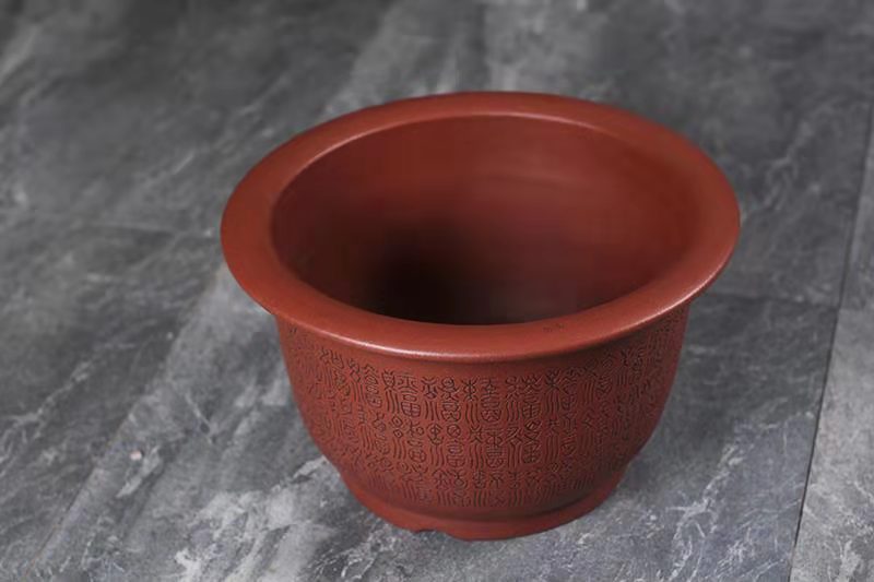玉缘口金钟(黄龙山红皮龙)(图3) 玉缘口金钟(黄龙山红皮龙)(图3)