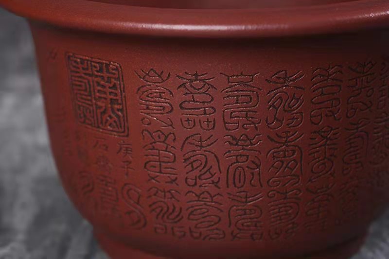 玉缘口金钟(黄龙山红皮龙)(图4) 玉缘口金钟(黄龙山红皮龙)(图4)