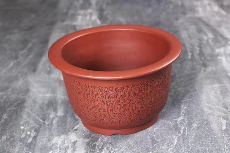 玉缘口金钟(黄龙山红皮龙)(图1) 玉缘口金钟(黄龙山红皮龙)(图1)