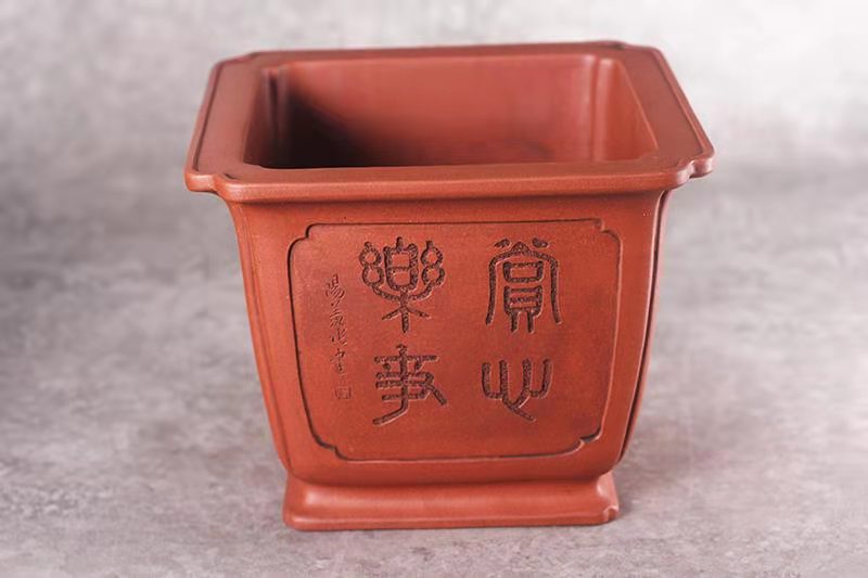 奎面抽角四方(黄龙山红皮龙)(图1) 奎面抽角四方(黄龙山红皮龙)(图1)