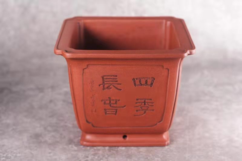 奎面抽角四方(黄龙山红皮龙)(图2) 奎面抽角四方(黄龙山红皮龙)(图2)