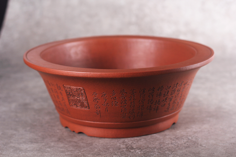 圆盆(红皮龙)(图1) 圆盆(红皮龙)(图1)