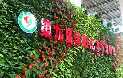 盆友八方应邀参加2011第九届沐阳花木节(图2) 盆友八方应邀参加2011第九届沐阳花木节(图2)