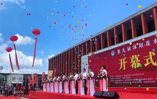 盆友八方应邀参加2011第九届沐阳花木节(图3) 盆友八方应邀参加2011第九届沐阳花木节(图3)