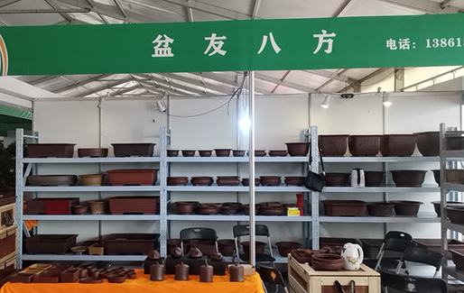 盆友八方应邀参加2011第九届沐阳花木节(图5) 盆友八方应邀参加2011第九届沐阳花木节(图5)
