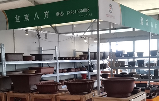 盆友八方应邀参加2011第九届沐阳花木节(图7) 盆友八方应邀参加2011第九届沐阳花木节(图7)