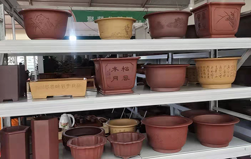 盆友八方应邀参加2011第九届沐阳花木节(图8) 盆友八方应邀参加2011第九届沐阳花木节(图8)